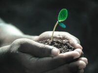 Unlock Your Future: Top 10 Scholarships You Must Apply for in 2023