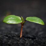 New Insurance Trends: What You Need to Know for 2023 Coverage