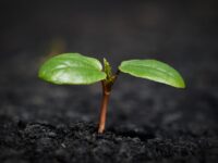 New Insurance Trends: What You Need to Know for 2023 Coverage