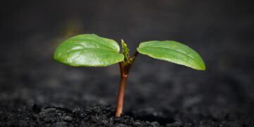 New Insurance Trends: What You Need to Know for 2023 Coverage
