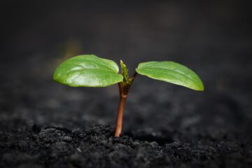 New Insurance Trends: What You Need to Know for 2023 Coverage