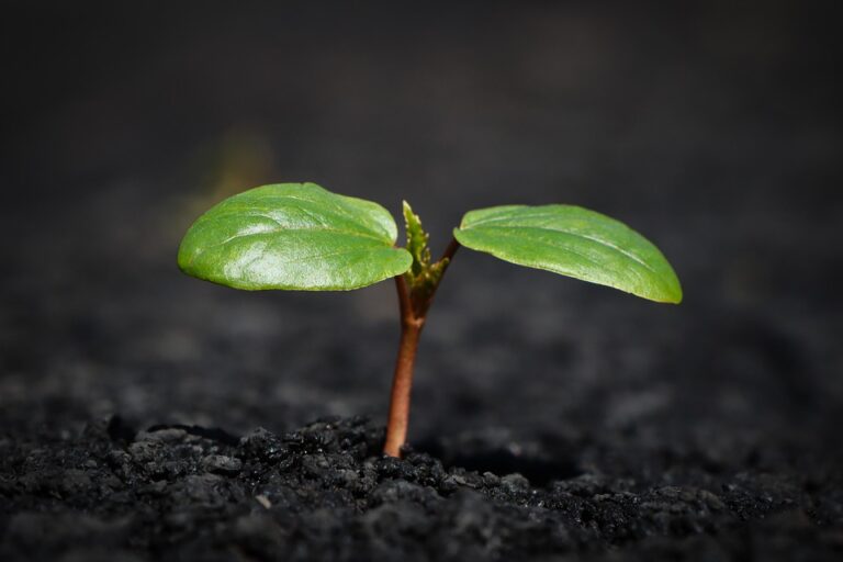 New Insurance Trends: What You Need to Know for 2023 Coverage