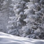 New Loan Options for 2023: Unlocking Your Path to Financial Freedom!