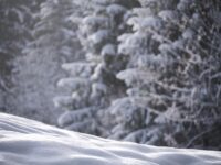 New Loan Options for 2023: Unlocking Your Path to Financial Freedom!