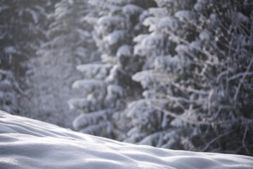 New Loan Options for 2023: Unlocking Your Path to Financial Freedom!