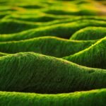 Boost Your Business in 2024: Top Strategies for Navigating Changing Markets