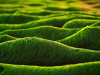 Boost Your Business in 2024: Top Strategies for Navigating Changing Markets