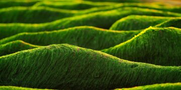 Boost Your Business in 2024: Top Strategies for Navigating Changing Markets