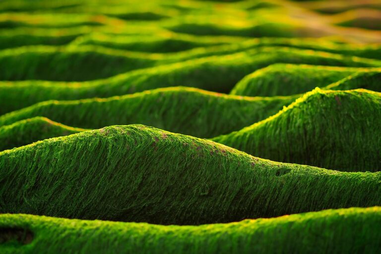 Boost Your Business in 2024: Top Strategies for Navigating Changing Markets