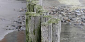 Unlock Passive Income: How Staking is Transforming the Crypto Landscape Today