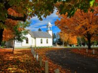 Experts Warn: Economic Order Flow Signals Potential Market Shift This Fall